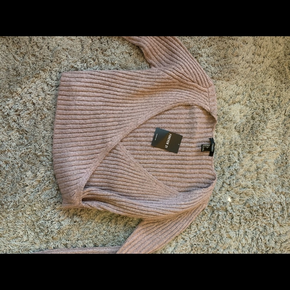 F21 Cropped Sweater